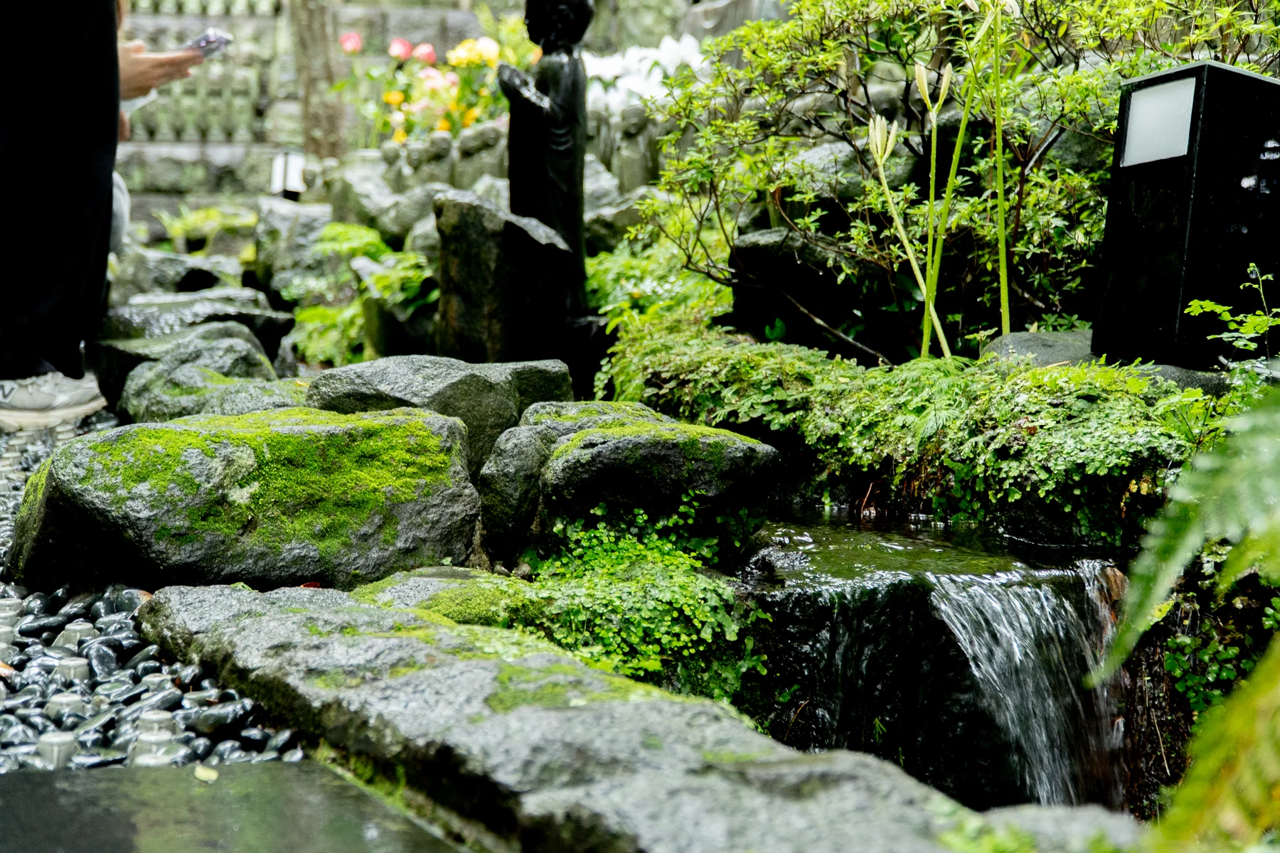 庭園 緑と水辺