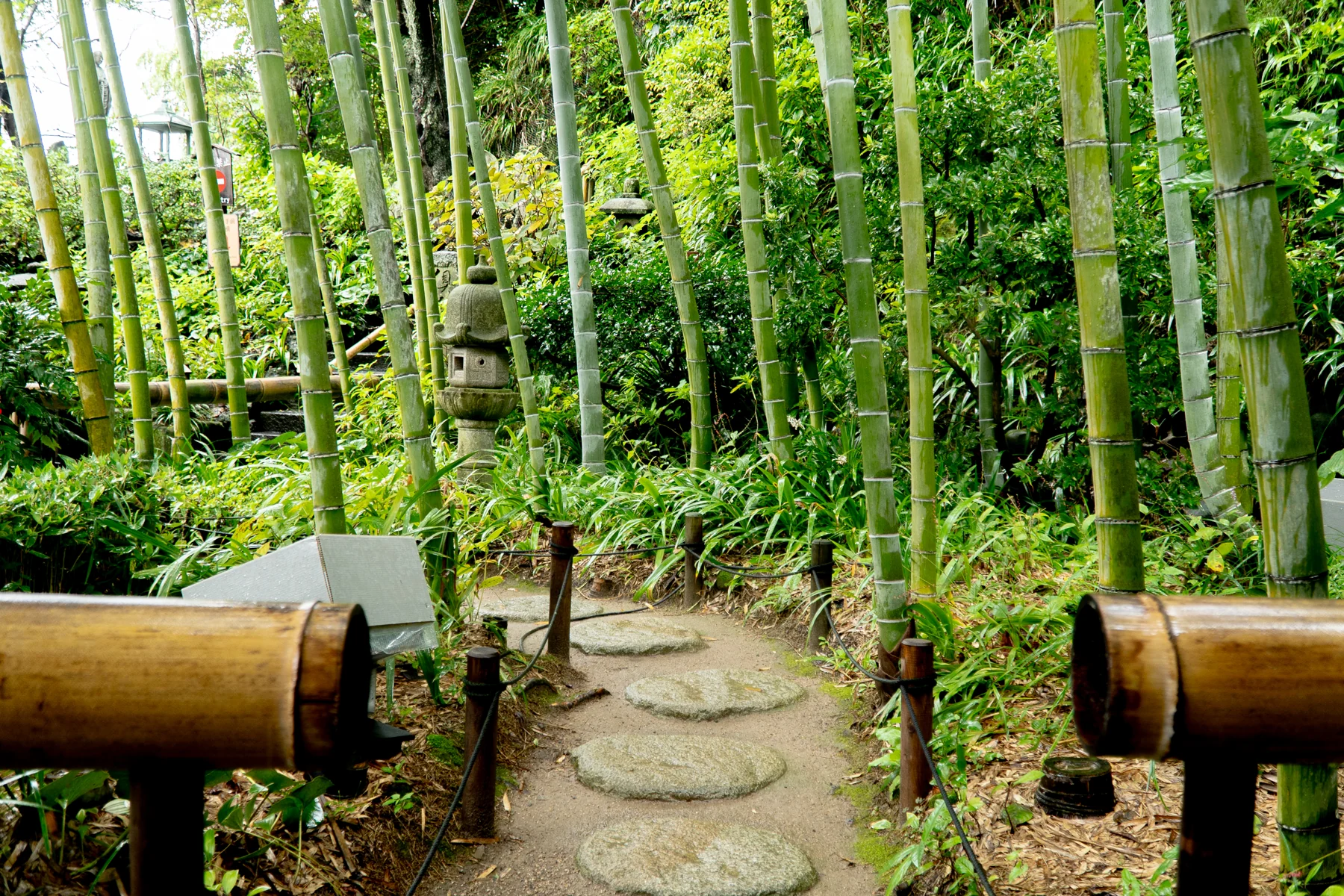 庭園 竹林の小道