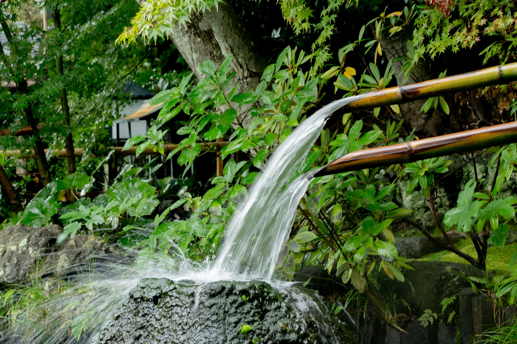 庭園 竹の樋と水