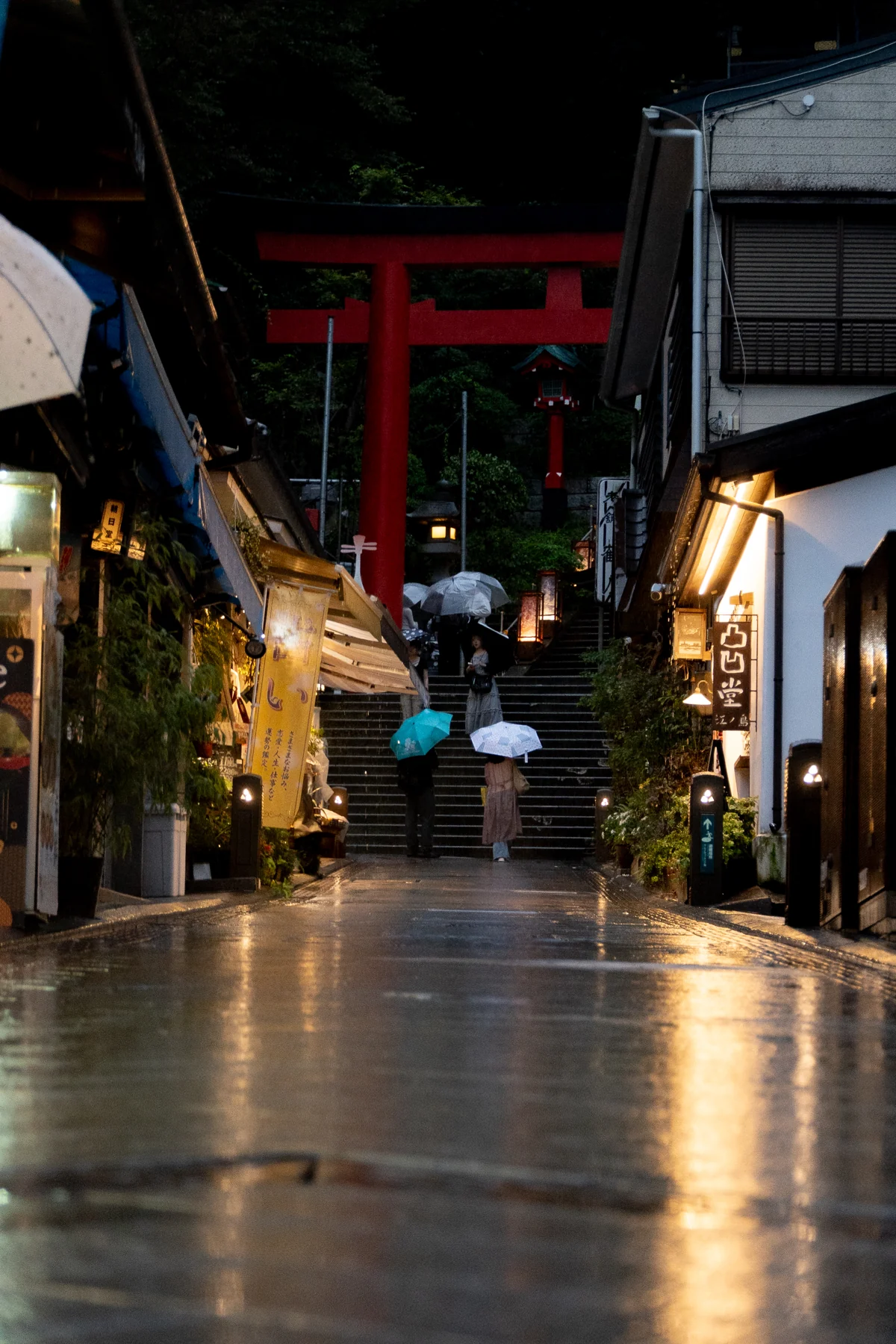 江ノ島｜夜の光｜04