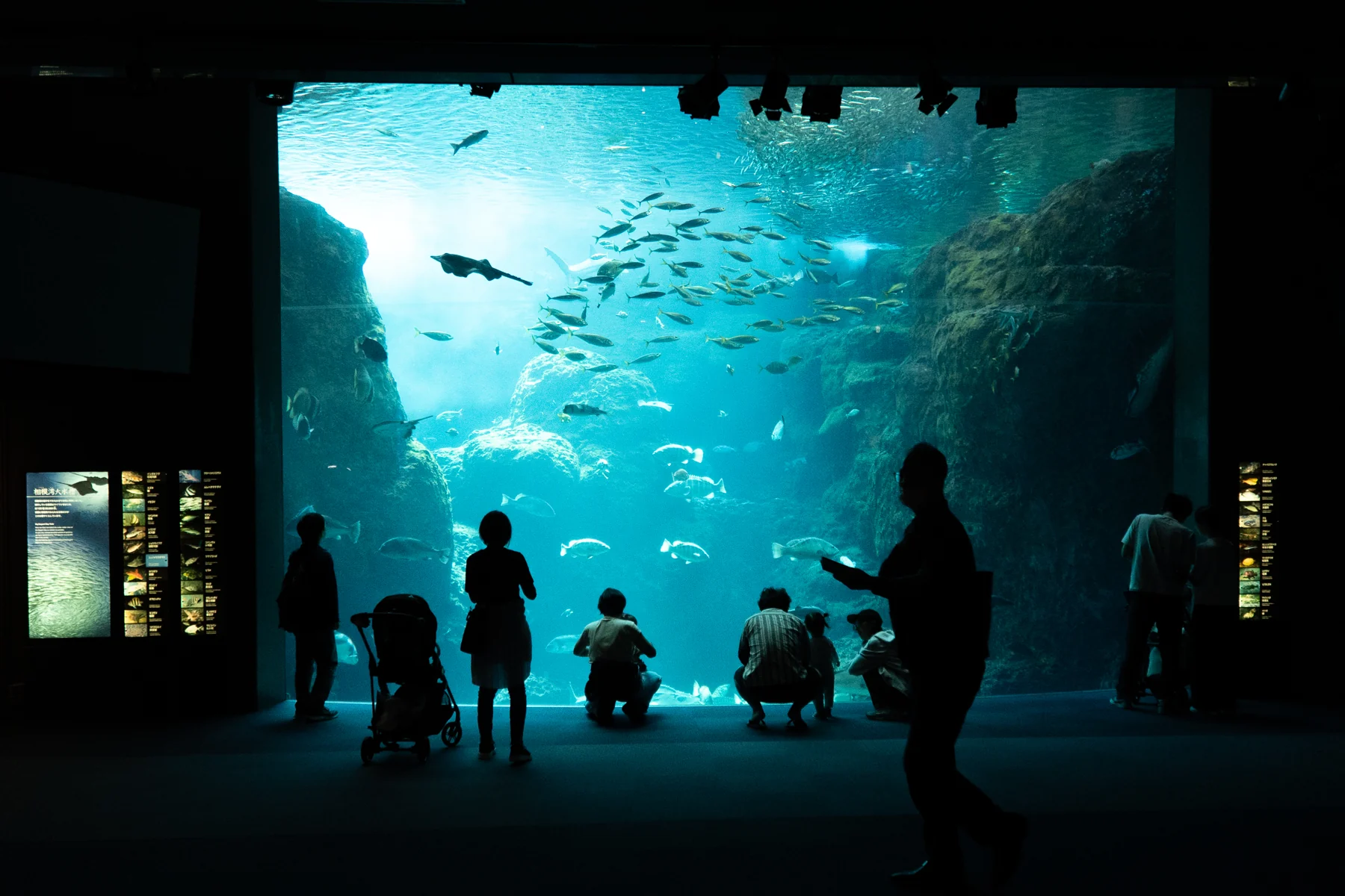 江ノ島｜水族館の風景｜02